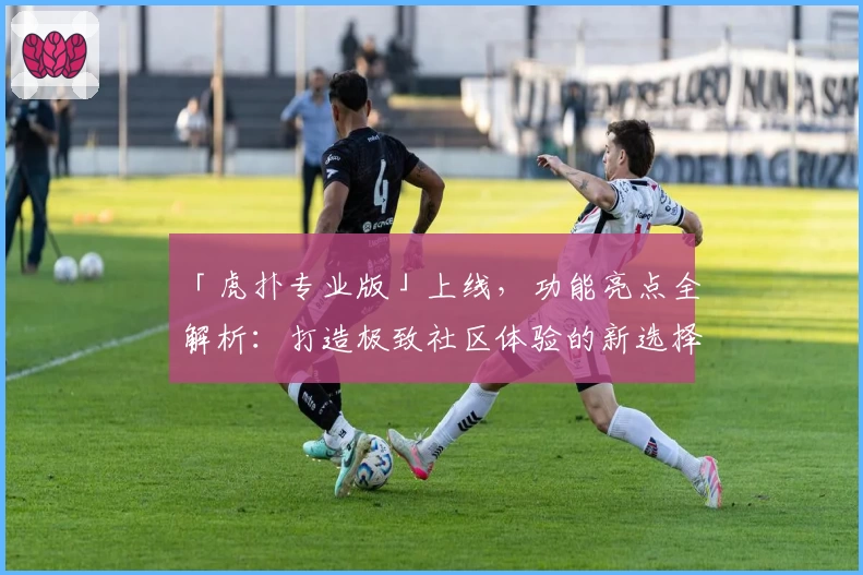 「虎扑专业版」上线,功能亮点全解析:打造极致社区体验的新选择